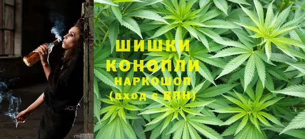 индика Балабаново