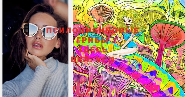 индика Балабаново