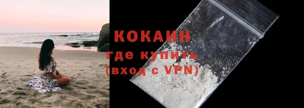 индика Балабаново