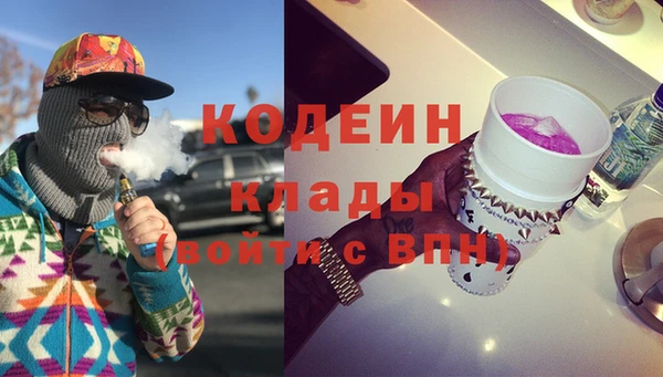 индика Балабаново