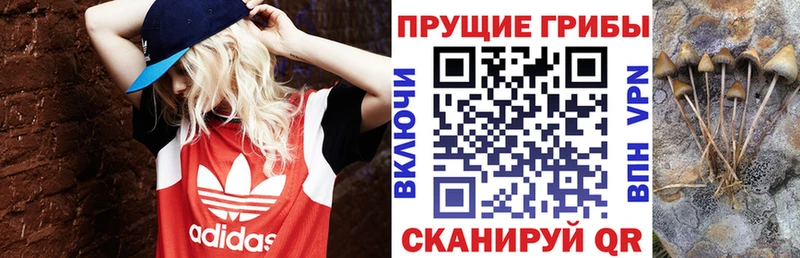 Галлюциногенные грибы MAGIC MUSHROOMS  где найти   blacksprut зеркало  Комсомольск 